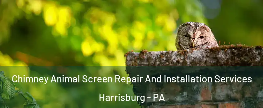  Chimney Animal Screen Repair And Installation Services Harrisburg - PA