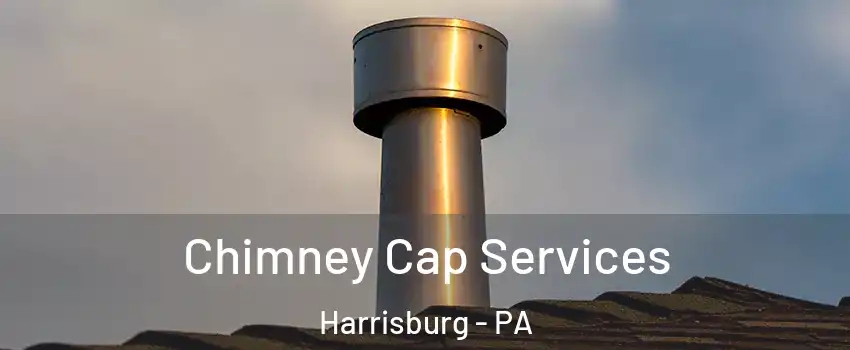  Chimney Cap Services Harrisburg - PA