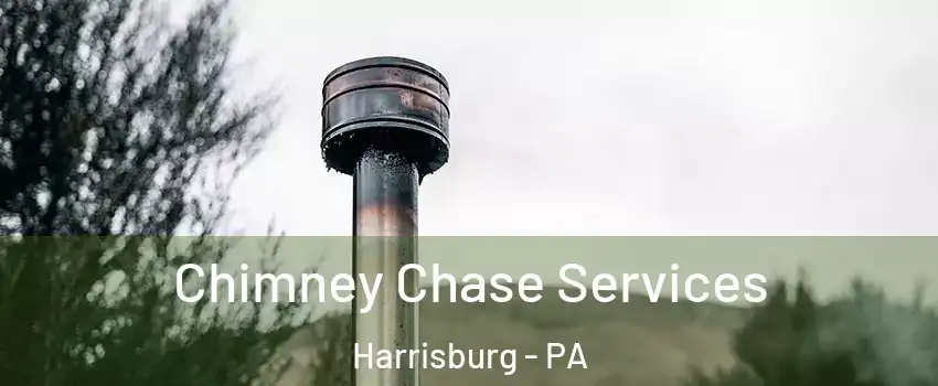  Chimney Chase Services Harrisburg - PA