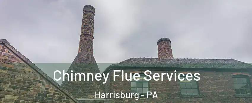  Chimney Flue Services Harrisburg - PA