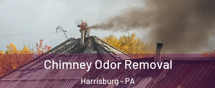  Chimney Odor Removal Harrisburg - PA