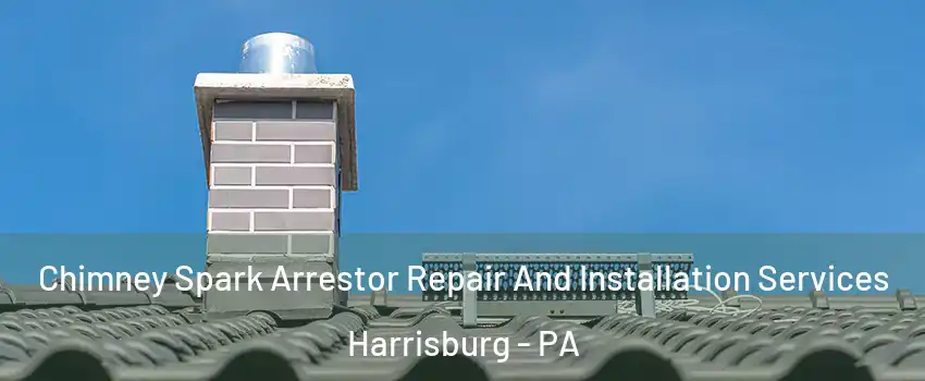  Chimney Spark Arrestor Repair And Installation Services Harrisburg - PA