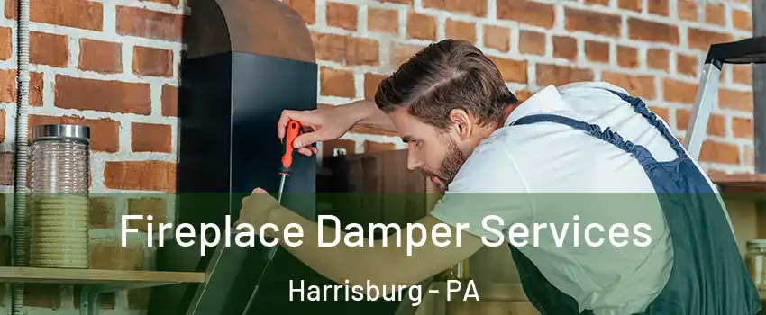  Fireplace Damper Services Harrisburg - PA