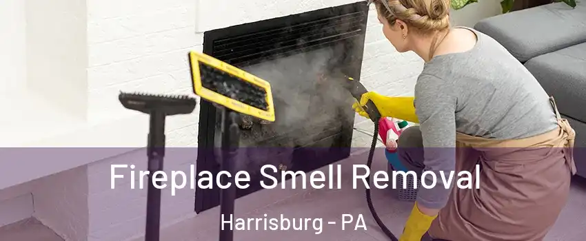  Fireplace Smell Removal Harrisburg - PA