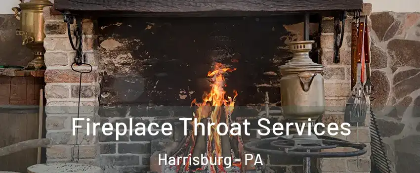  Fireplace Throat Services Harrisburg - PA