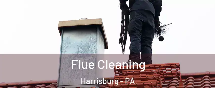  Flue Cleaning Harrisburg - PA