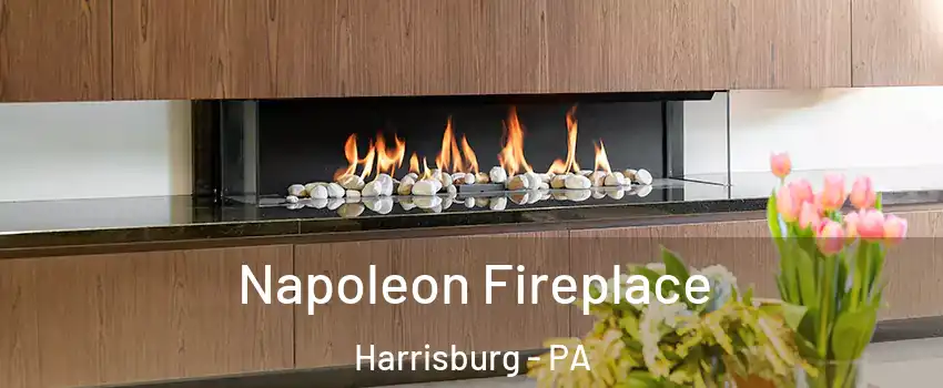  Napoleon Fireplace Harrisburg - PA